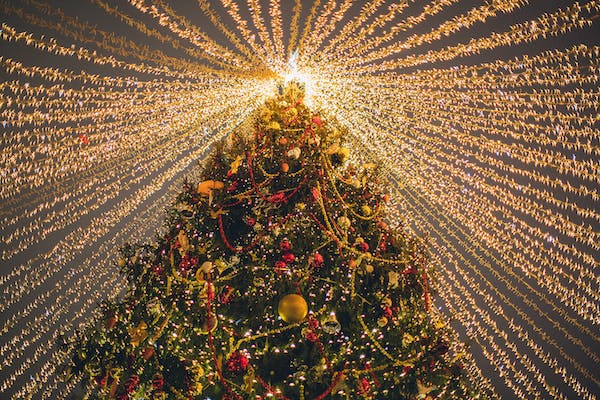 Dal 01 dicembre 2023 al 08 gennaio 2024, Il Villaggio di Natale ti aspetta a Locorotondo, in provincia di Bari - Puglia. 